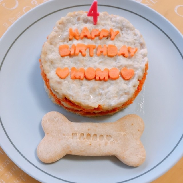 犬用ケーキ簡単 レンジで誕生日ケーキ レシピ 作り方 By モモママミニ クックパッド 簡単おいしいみんなのレシピが355万品
