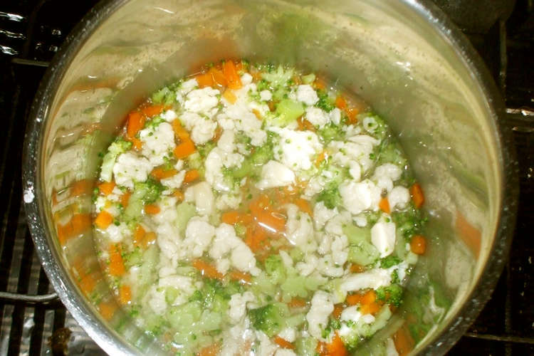 ブロッコリー鶏ささみのうま煮 簡単離乳食 レシピ 作り方 By 漢方薬のタカキ大林店 クックパッド 簡単おいしいみんなのレシピが375万品