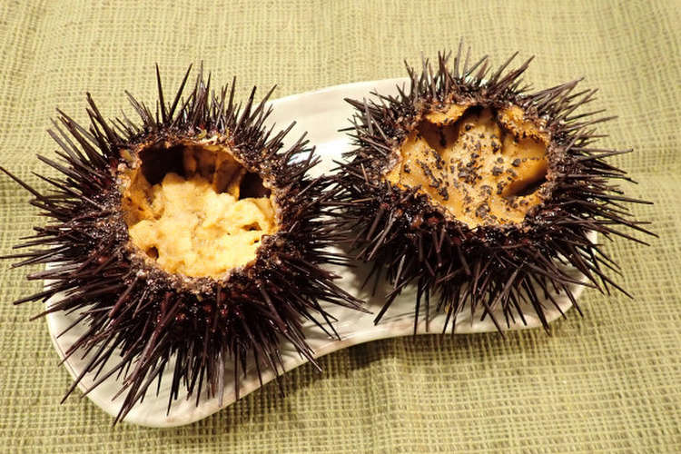 ウニの炙り刺し レシピ 作り方 By あおもりの肴 クックパッド 簡単おいしいみんなのレシピが361万品