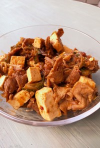 ゴーヤ玉ねぎの麻婆豆腐