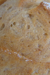 フスマ入り天然酵母のパン