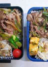 シティ 不屈 退却 肉 豆腐 お 弁当 Pmassalaw Org
