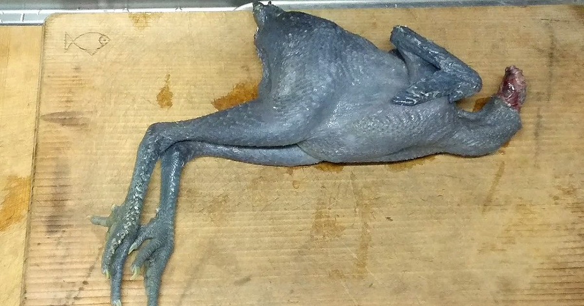 烏骨鶏の捌き方 レシピ 作り方 By 自給自足な暮らし クックパッド