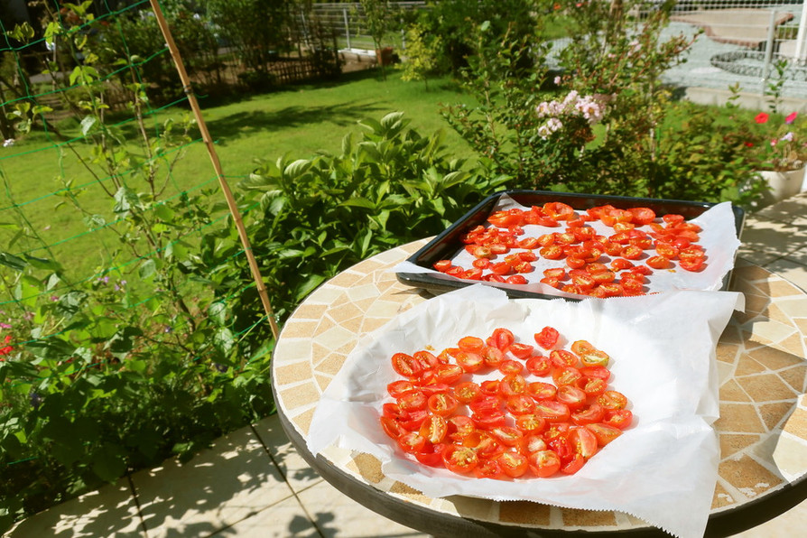 猛暑歓迎　日向でドライトマトの画像