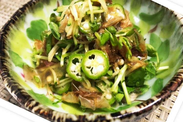 豆苗おくらさっぱり野菜のおかかつゆ和え レシピ 作り方 By 健康旨研究員おから子 クックパッド 簡単おいしいみんなのレシピが357万品