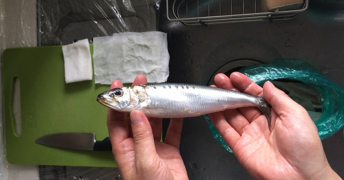 まな板を汚さない いわしのさばき方 レシピ 作り方 By 孤独なパパは魚をきる クックパッド 簡単おいしいみんなのレシピが357万品