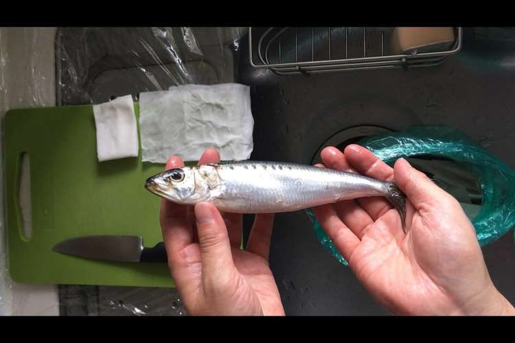まな板を汚さない いわしのさばき方 レシピ 作り方 By 孤独なパパは魚をきる クックパッド 簡単おいしいみんなのレシピが366万品