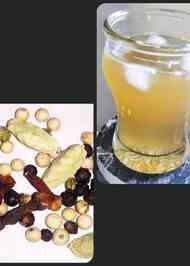 みんなが作ってる ジンジャーエール 本格のレシピ クックパッド 簡単おいしいみんなのレシピが350万品