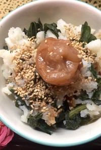 山芋と小松菜のダイエットスタミナ土鍋ご飯