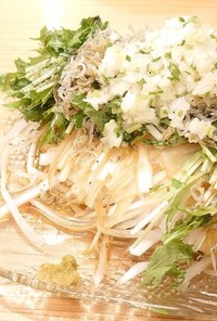 大根/水菜/オリーブオイル/ジャコ