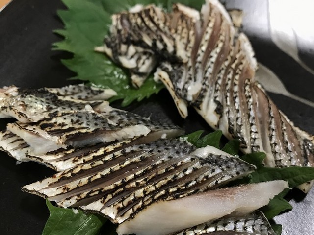 釣り人必見 コノシロ酢締めの炙り焼き レシピ 作り方 By ネコヤマネコジロウ クックパッド 簡単おいしいみんなのレシピが359万品 釣り人必見 コノシロ酢締めの炙り焼き レシピ 作り方 By ネコヤマネコジロウ クックパッド 簡単おいしいみんなのレシピが359万品