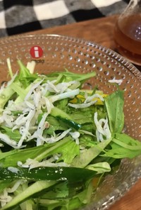 しらすと水菜の和風サラダ