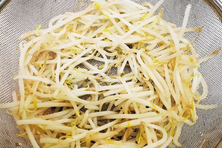 もやしの茹でかた レシピ 作り方 By 三つ葉つくし クックパッド 簡単おいしいみんなのレシピが350万品