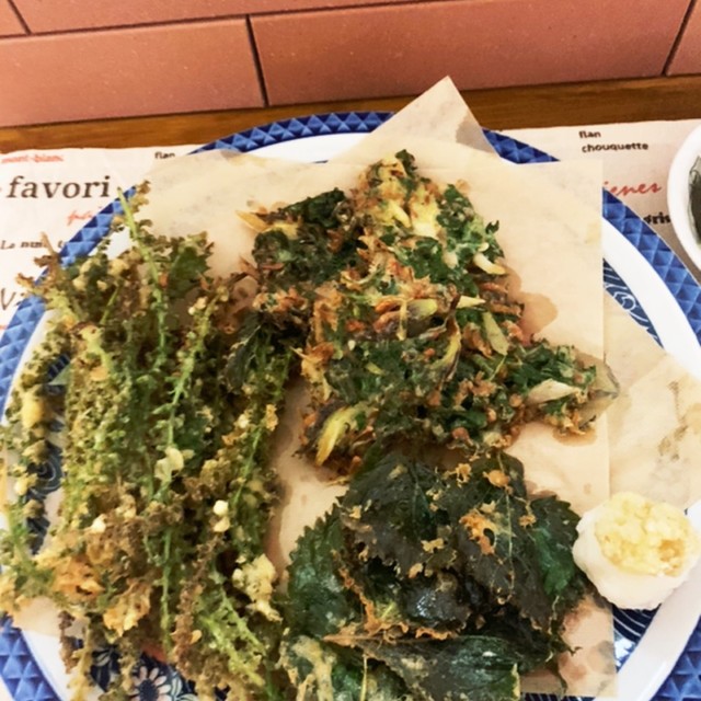 紫蘇の実や葉の天ぷら 胡麻油で香ばしい レシピ 作り方 By ぽーみゅー クックパッド 簡単おいしいみんなのレシピが367万品