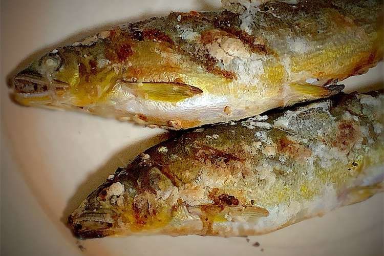 子持ち鮎の塩焼き レシピ 作り方 By 築地のしゃけこ クックパッド 簡単おいしいみんなのレシピが353万品
