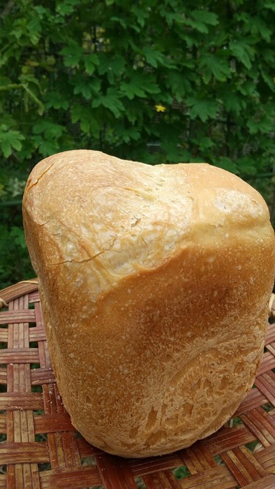 HBでフランスパン風食パンの写真