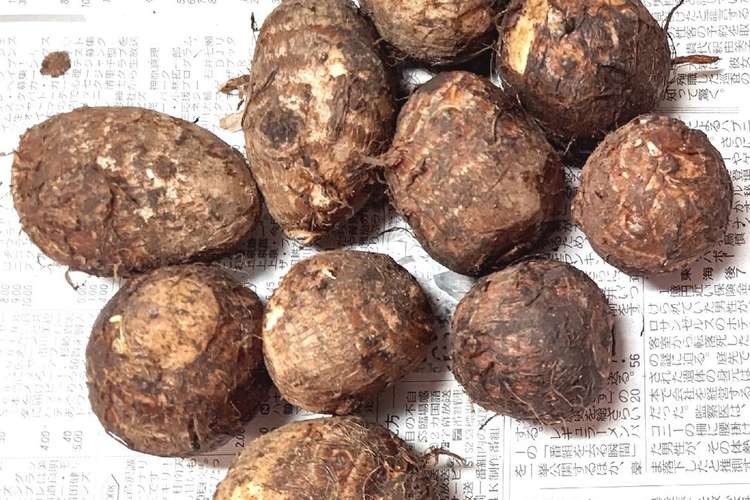 龍愛 里芋の保存方法 レシピ 作り方 By 龍愛recipe クックパッド 簡単おいしいみんなのレシピが366万品