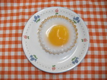 0d166bd02a024f52a7b6f435759cdf67?u=15968961&p=1603239389