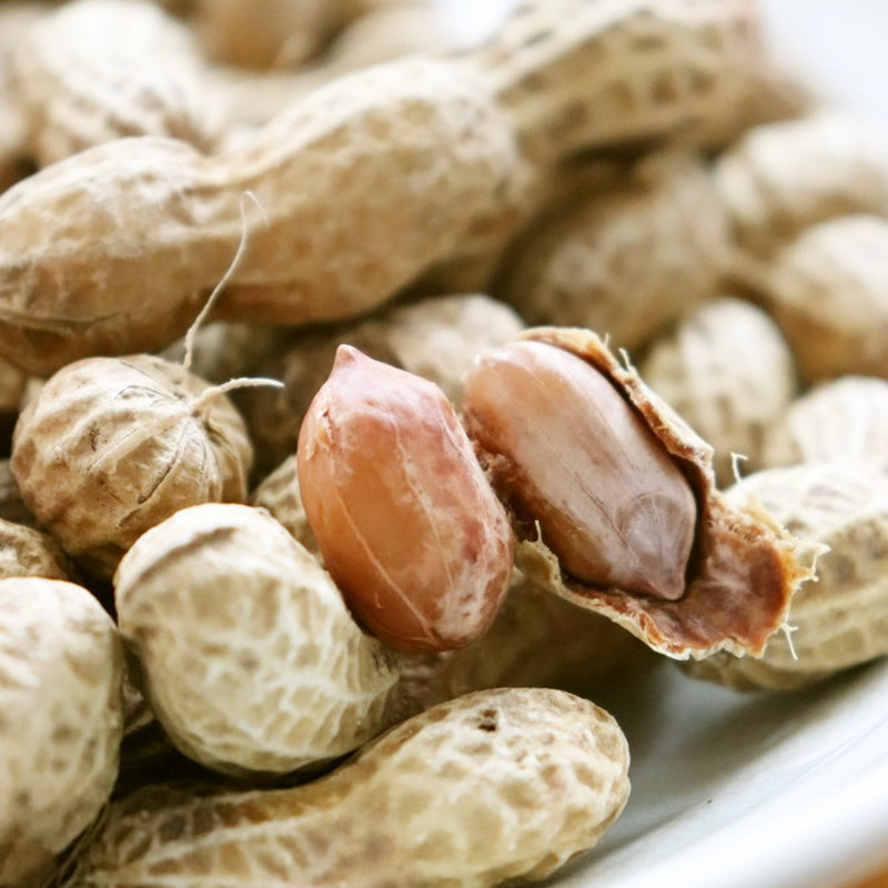 寸法 復活する 除外する 殻 付き 落花生 レンジ ツイン 肝 スピーチ