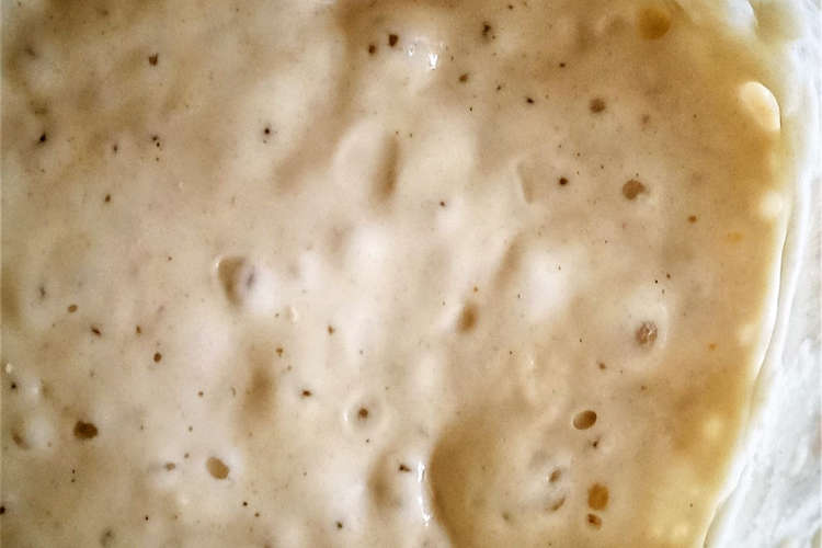小麦粉と水だけ 自家製天然酵母の作り方 レシピ 作り方 By ペンダー島まりこさん クックパッド 簡単おいしいみんなのレシピが356万品