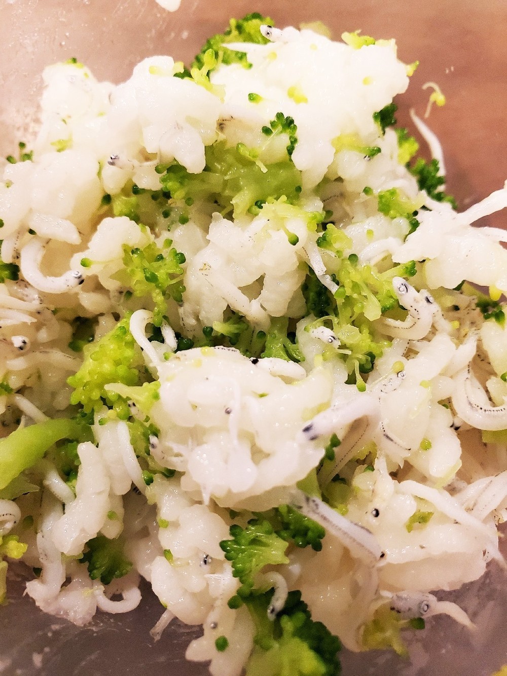 しらすごはん 離乳食中期 後期 レシピ 作り方 By Seabeesea クックパッド