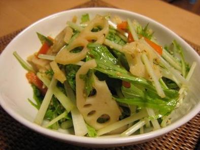 しゃきしゃき野菜のゴマ酢サラダの写真