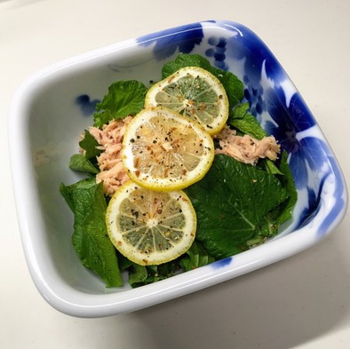 小松菜(生)とツナ缶　サラダの写真