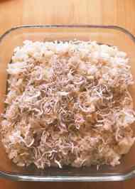 みんなが作ってる 友近 しょうがご飯のレシピ クックパッド 簡単おいしいみんなのレシピが348万品