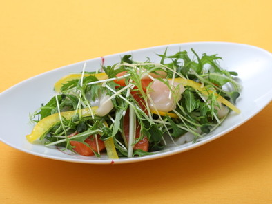 海鮮サラダ          の写真