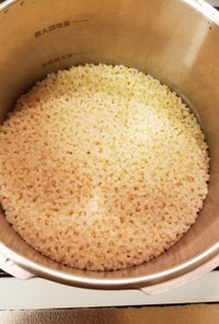 圧力鍋でふっくらもちもちの玄米ご飯