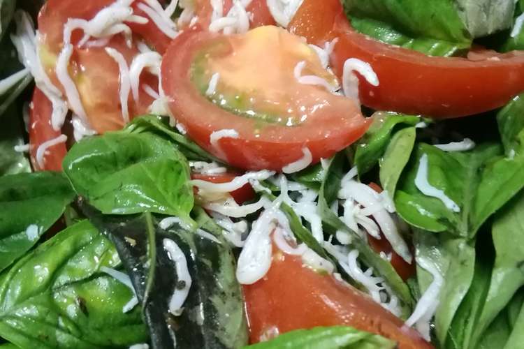 しらす干しとバジルのサラダ レシピ 作り方 By クック7fnn0f クックパッド 簡単おいしいみんなのレシピが351万品