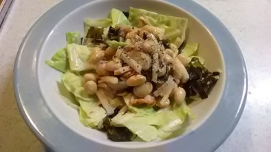 ホタテ・大豆・大根・キャベツのサラダの写真