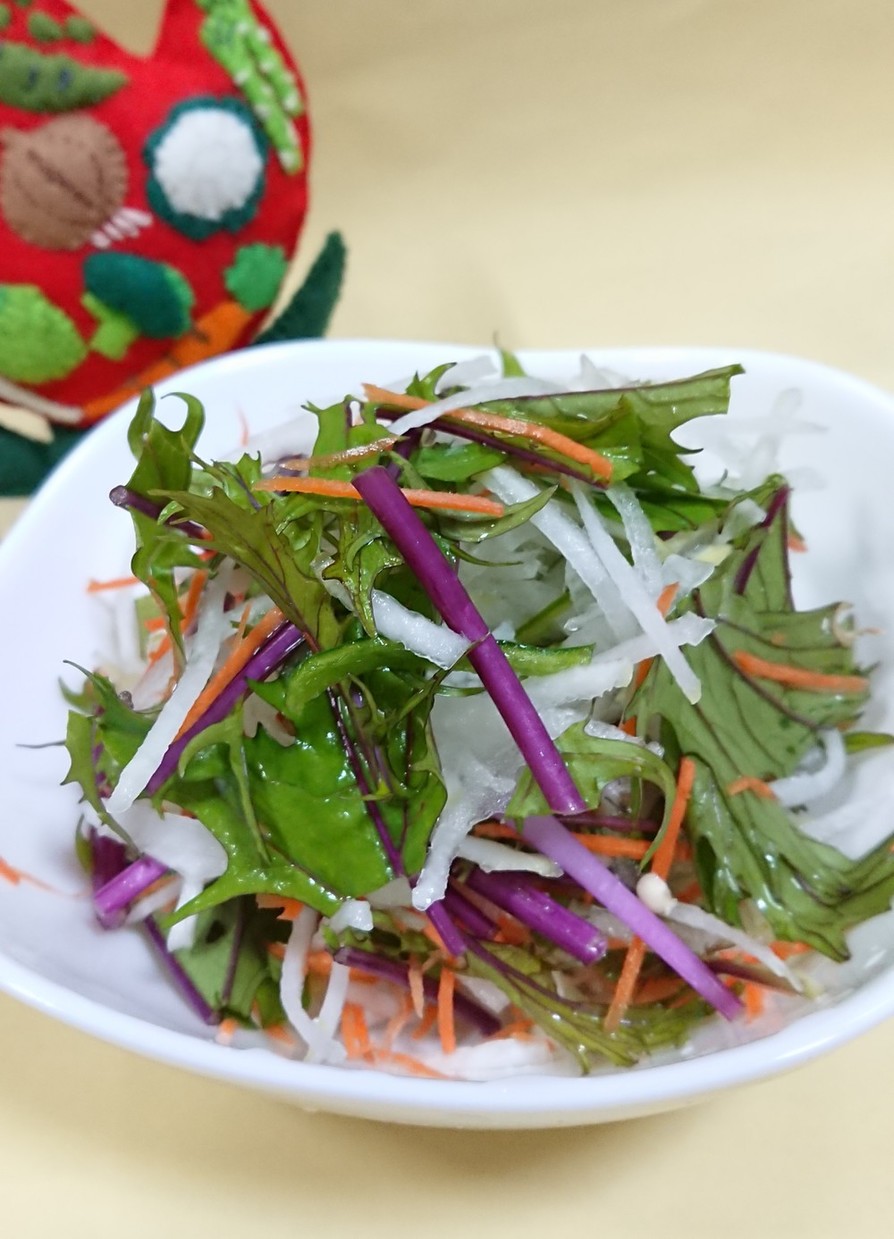 赤水菜と大根のサラダの画像