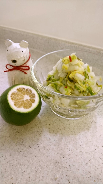 白菜の浅漬け　レモン風味の写真
