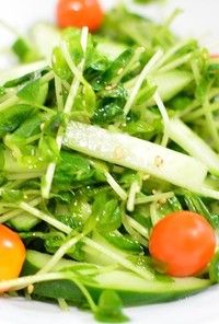 食欲そそる♬豆苗ときゅうりのうま塩サラダ