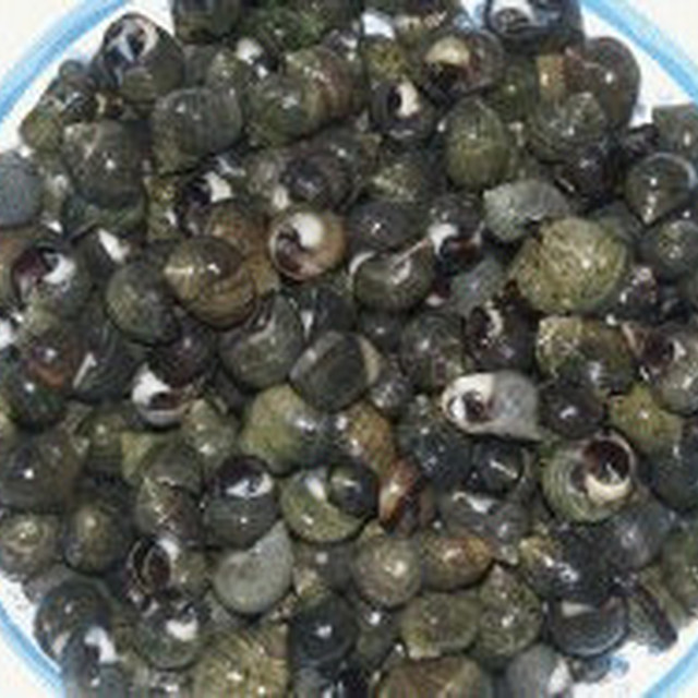 しったかの塩茹で レシピ 作り方 By Takanori クックパッド 簡単おいしいみんなのレシピが353万品