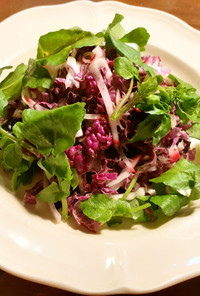白菜（紫白菜）とクレソンのサラダ発酵玉葱