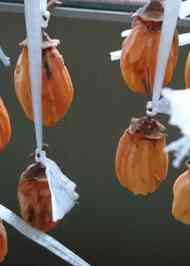 みんなが作ってる 干し柿 紐のレシピ クックパッド 簡単おいしいみんなのレシピが355万品
