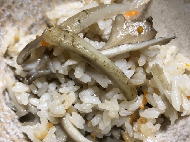 だし道楽 炊き込みご飯 2合 レシピ 作り方 By ネオぴっぴちゃん クックパッド 簡単おいしいみんなのレシピが351万品 だし道楽 炊き込みご飯 2合 レシピ 作り方 By ネオぴっぴちゃん クックパッド 簡単おいしいみんなのレシピが351万品