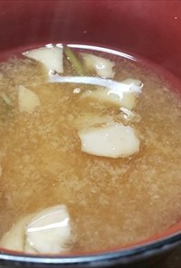 ヤマブシタケ、ナガエノスギタケの味噌汁