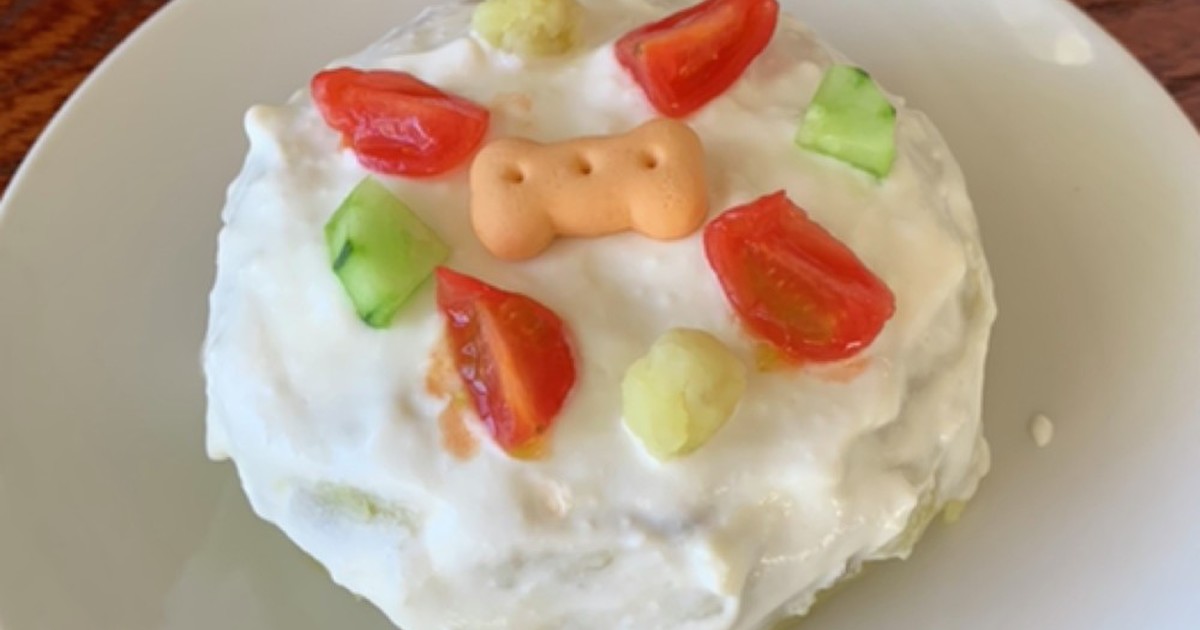 犬用さつまいもケーキ レシピ 作り方 By しののゆめ クックパッド 簡単おいしいみんなのレシピが357万品