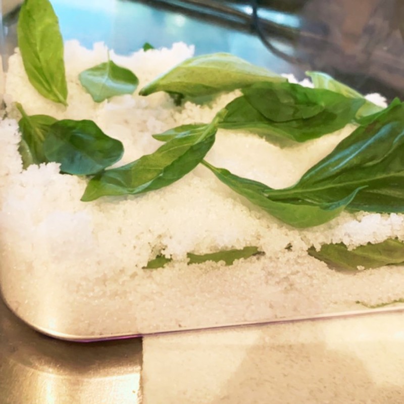 みんなが作ってる バジルソルト 作り方のレシピ クックパッド 簡単おいしいみんなのレシピが373万品