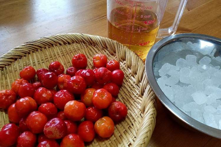 アセロラ酢 保存用に レシピ 作り方 By はるあやゆいさん クックパッド 簡単おいしいみんなのレシピが354万品