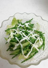 シーアスパラガスのグリーンサラダ