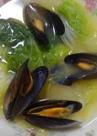 みんなが作ってる ムール貝 白菜のレシピ クックパッド 簡単おいしいみんなのレシピが364万品