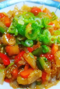 野菜と豚肉の中華風生姜あんかけご飯