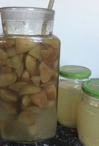 林檎酢(Apple C Vinegar)