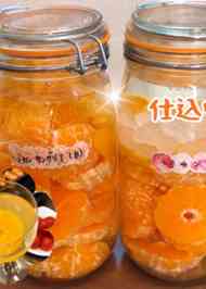 みんなが作ってる みかん酒のレシピ クックパッド 簡単おいしいみんなのレシピが367万品