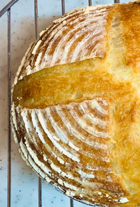 シンプル食事パン　冷蔵発酵