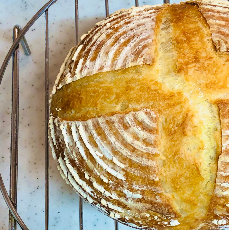 シンプル食事パン　冷蔵発酵の画像